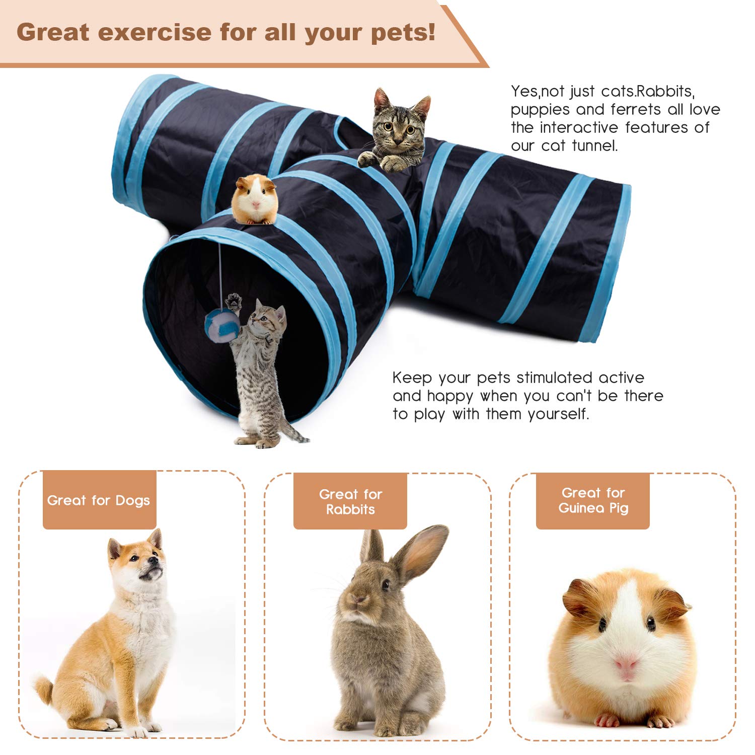 ZIBUYU 3 Way Cat Tunnel Pet Tube Interactive Foldable Hiding Training Toy for Cat Kitten Rabbit and Puppies with Hanging Teaser Toy(Blue) ZIBUYU 3 Way Cat Tunnel Pet Tube Interactive Foldable Hiding Training Toy for Cat Kitten Rabbit and Puppies with Hanging Teaser Toy(Blue)